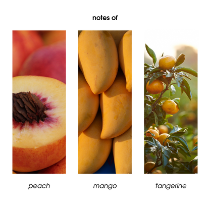 Glow Body Oil- White Peach & Mango